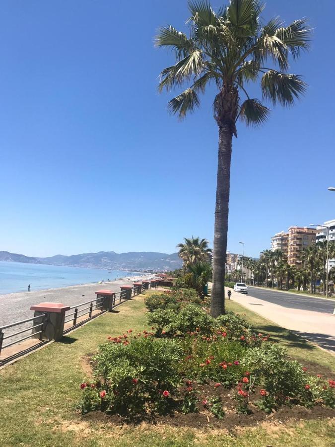 Empire Residence Alanya/Mahmutlar 50M От Моря Εξωτερικό φωτογραφία
